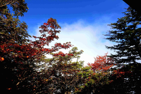 日本富士山美景