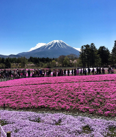 日本富士山