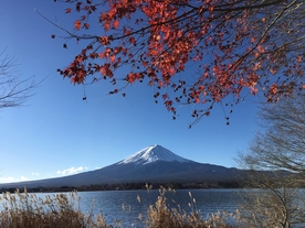 富士山