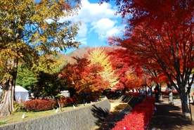 日本河口湖景点