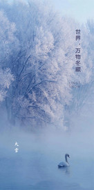 大雪节气海报