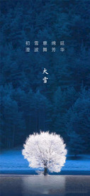 大雪质感节气海报