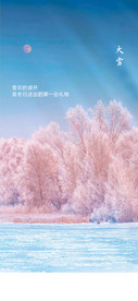 大雪质感节气海报
