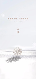 大雪节气海报