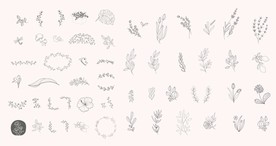 树叶花瓣 树叶标志