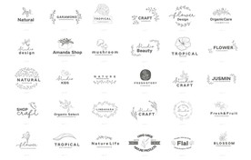 树叶标志 花朵标志