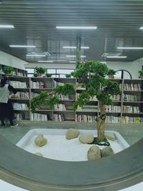 景观树 书屋