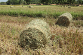 干草垛