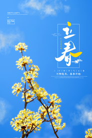 立春 立春海报