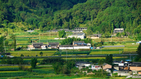 田园风光 农田 梯田 自然景