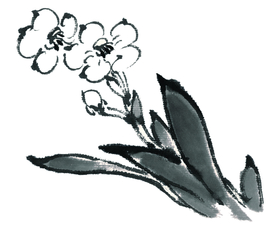 水墨花卉