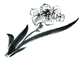 水墨花卉