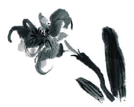 水墨花卉