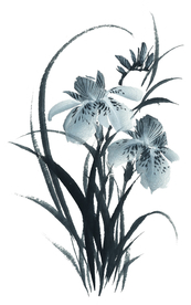 水墨花卉