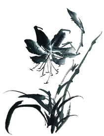 水墨花卉