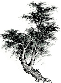 水墨古树