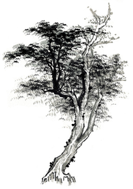 水墨古树