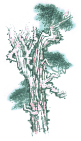 水墨古树