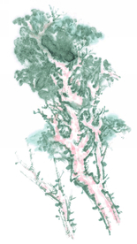 水墨古树