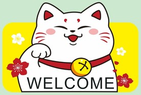 猫 上拾壹
