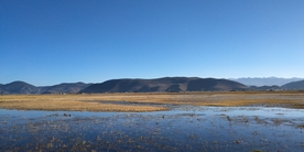 香格里拉 依拉草原