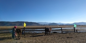 香格里拉 依拉草原