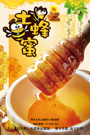 大气简洁蜂蜜土蜂蜜海报