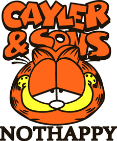 加菲猫 可爱 卡通 猫 字体