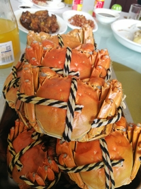 大闸蟹