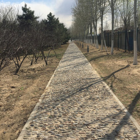 秋季阳下石子路