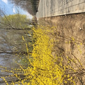 同一条路四季风光