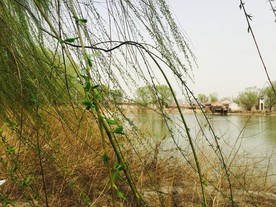 公园湖景