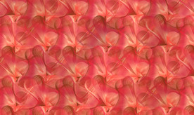 抽象线条 渐变拉花04