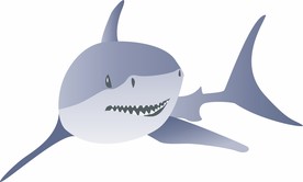 鲨鱼
