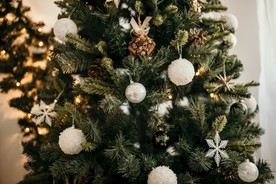 圣诞树 装饰 场景图片