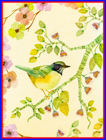 手绘 植物 鸟类