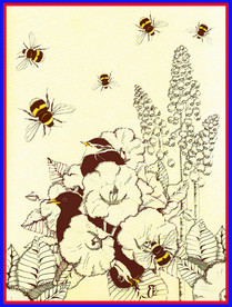 水彩 蜜蜂 蝴蝶花