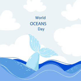 海浪 波浪 波纹