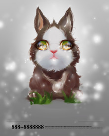 创意动物合成图片