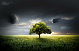 小清新简约创意海报图片