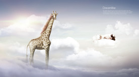 梦觉创意动物合成图片