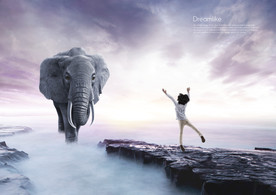 梦觉创意动物合成图片