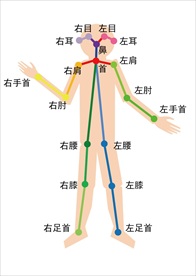 线条人  AI人体姿态识别