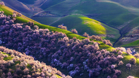 风景