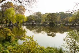 西湖 花港观鱼