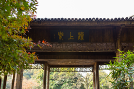 西湖 花港观鱼