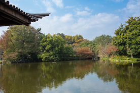 西湖 花港观鱼