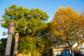 西湖 浙江省博物馆