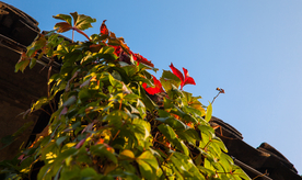 南关厢历史文化街区