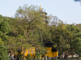 西湖 雷峰塔
